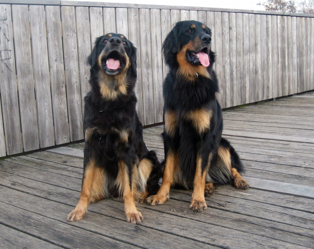 Wir geben bekannt........................