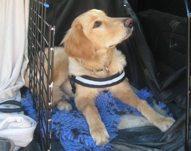 Blanca vom Pohlsee am 14.09.2012