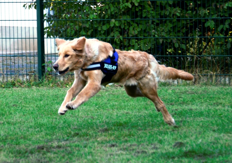 Blanca vom Pohlsee am 14.09.2012