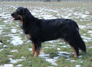 Kopie von Susa Kylie