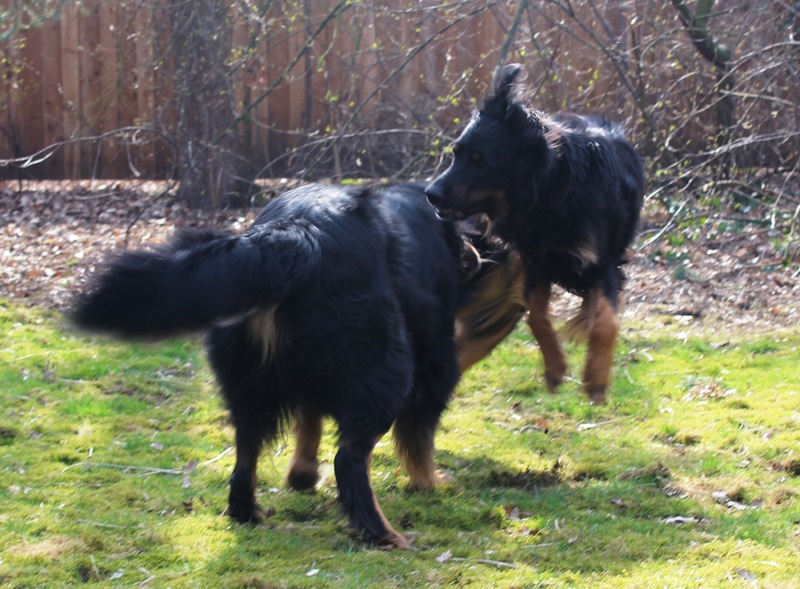 Josy und Leo - 07.03.14 036