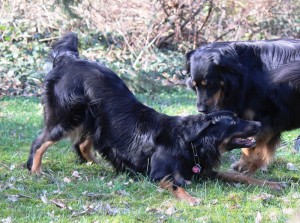 Josy und Leo - 08.03.14 027