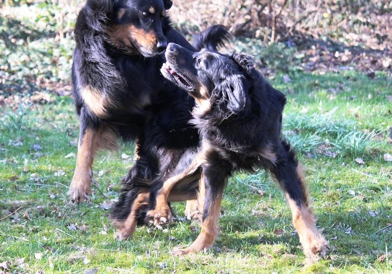 Josy und Leo - 08.03.14 030