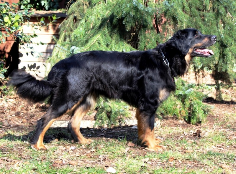 Josy und Leo - 09.03.2014 018