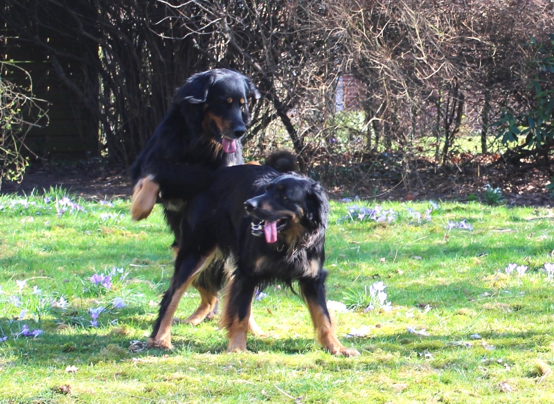 Josy und Leo - 09.03.2014 057