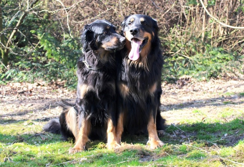 Josy und Leo - 09.03.2014 064