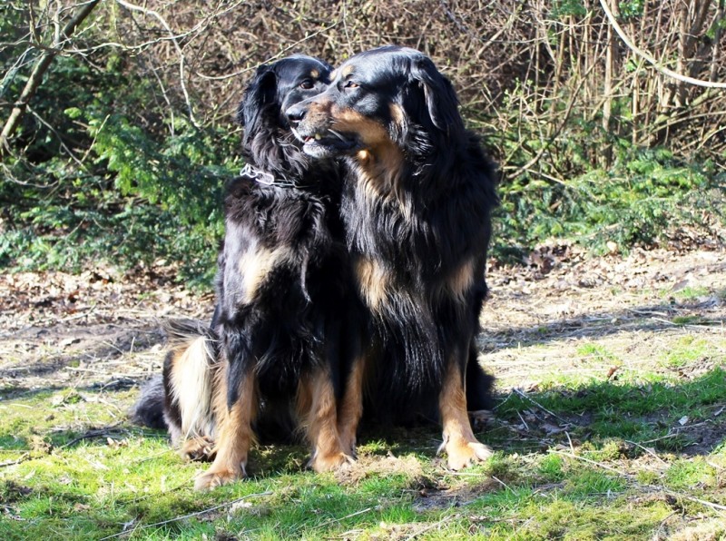 Josy und Leo - 09.03.2014 065