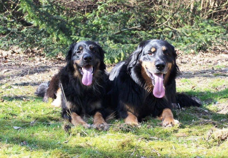 Josy und Leo - 09.03.2014 066