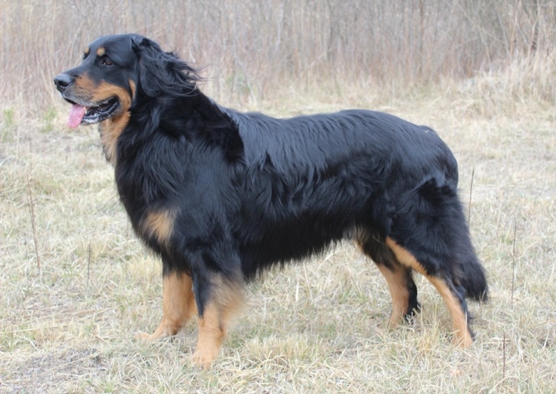 18. März 2014 143 - Kopie (2) - Kopie