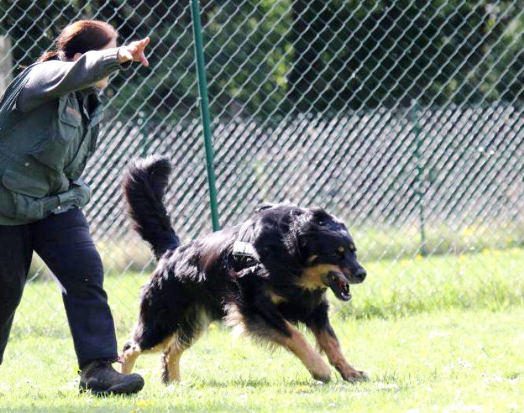 ABC-Lehrgang 4-14 (52) Kopie