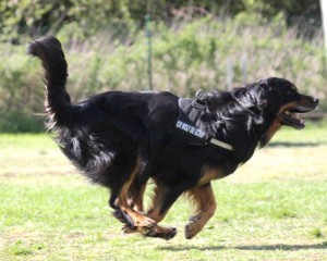 ABC-Lehrgang 4-14 (55)