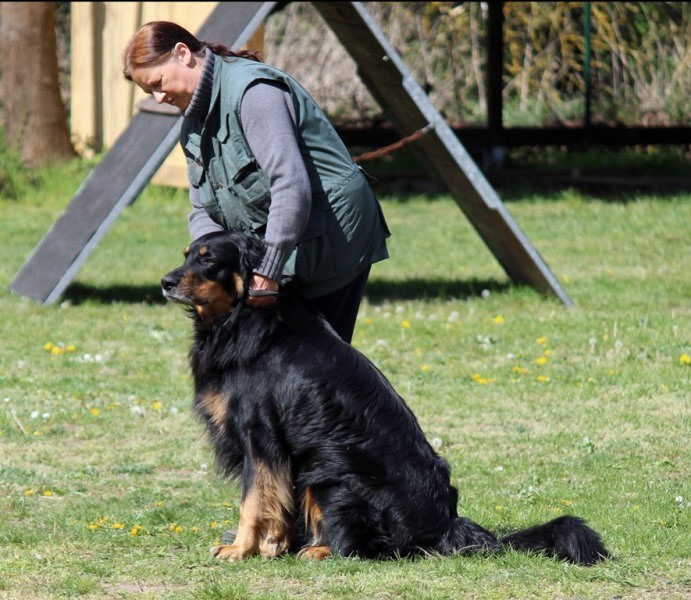 ABC-Lehrgang-Babenhausen April 2014 078_bearbeitet-1