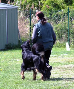 ABC-Lehrgang-Babenhausen April 2014 081_bearbeitet-1