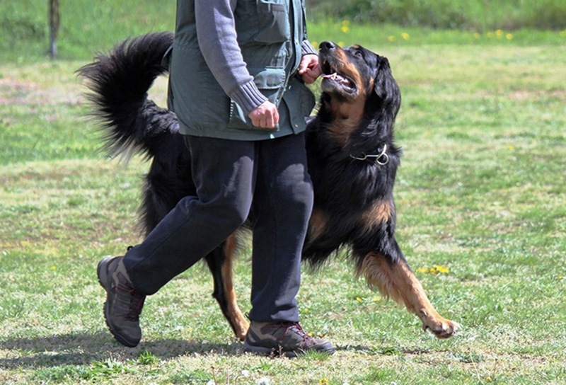 ABC-Lehrgang-Babenhausen April 2014 087_bearbeitet-1 - Kopie Kopie