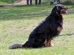 ABC-Lehrgang-Babenhausen April 2014 090_bearbeitet-1 Kopie