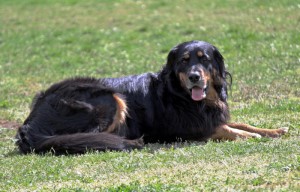 ABC-Lehrgang-Babenhausen April 2014 136_bearbeitet-1 Kopie