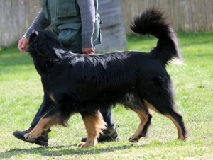 ABC-Lehrgang-Babenhausen April 2014 151_bearbeitet-1