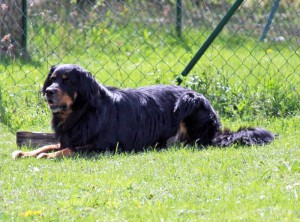 ABC-Lehrgang-Babenhausen April 2014 166_bearbeitet-1 Kopie