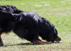 ABC-Lehrgang-Babenhausen April 2014 184 Kopie