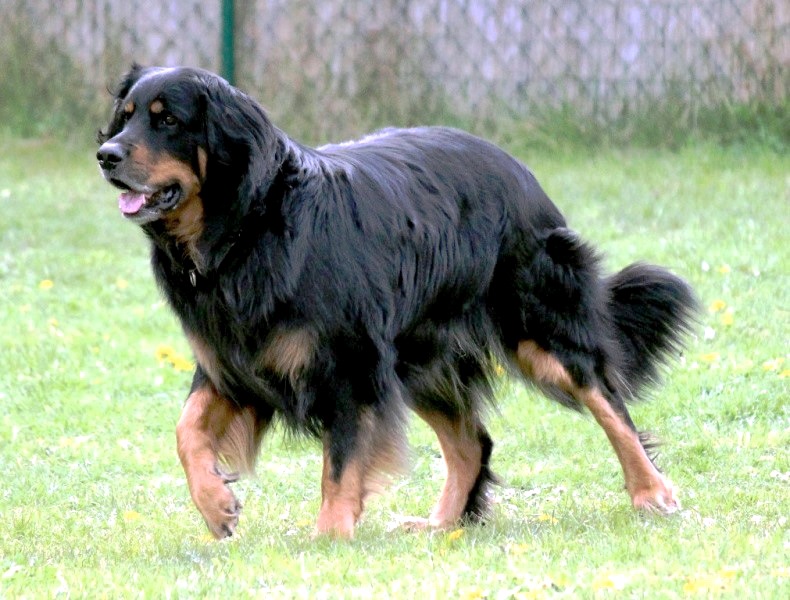 ABC-Lehrgang-Babenhausen April 2014 192 Kopie Kopie
