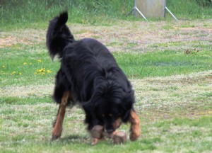 ABC-Lehrgang-Babenhausen April 2014 225