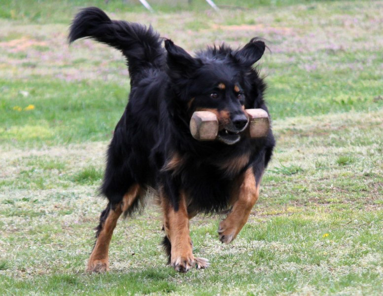 ABC-Lehrgang-Babenhausen April 2014 226-2 Kopie