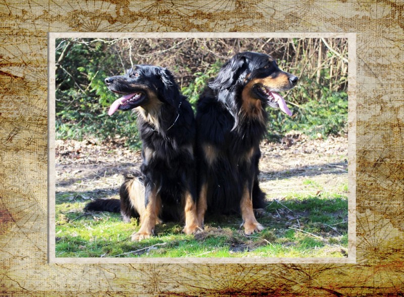 Josy und Leo - 09.03