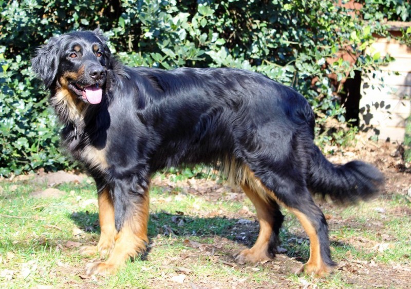 Josy und Leo - 09.03.2014 026