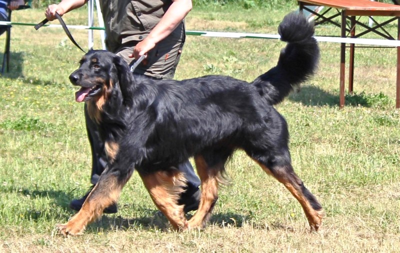 CAC am 07.06.2015 in Babenhausen