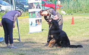 CAC am 07.06.2015 in Babenhausen