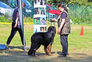 CAC am 07.06.2015 in Babenhausen