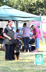 CAC am 07.06.2015 in Babenhausen