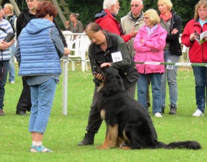 CSS 2015 - Schwarmstedt