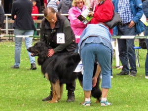 CSS 2015 - Schwarmstedt