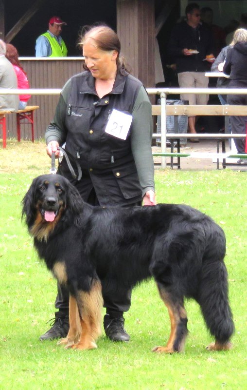 CSS 2015 - Schwarmstedt