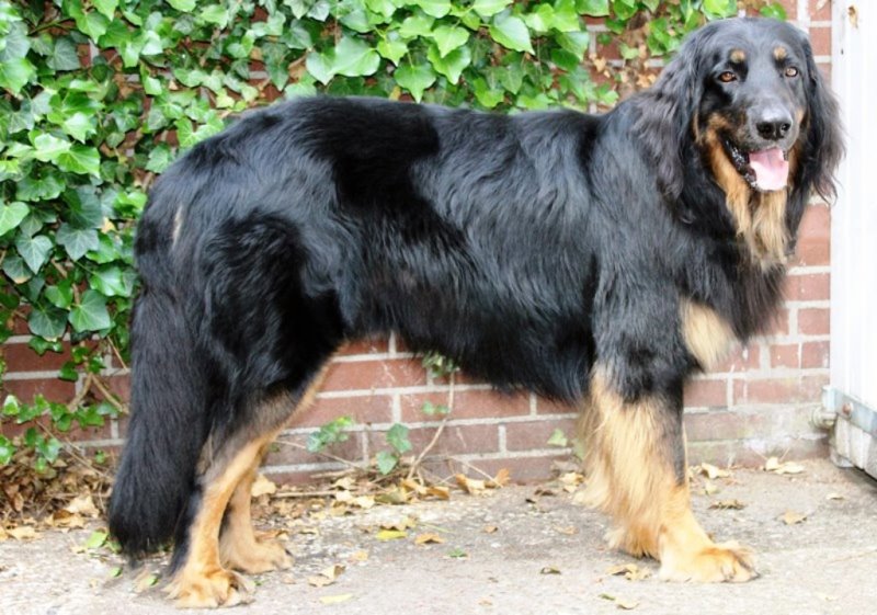 Bonito - Portraits 28.06.2015